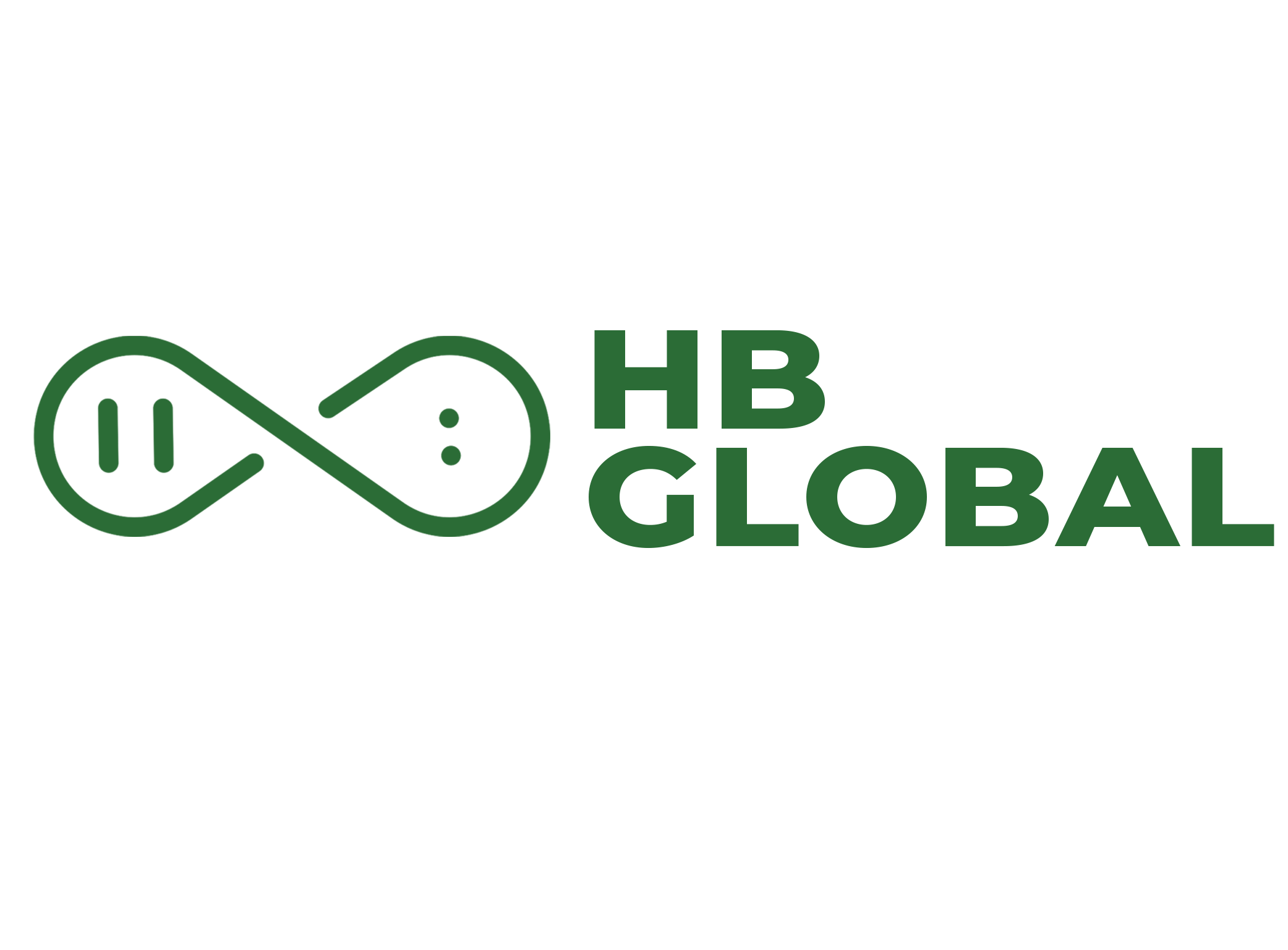 hbglobalnetworking.com