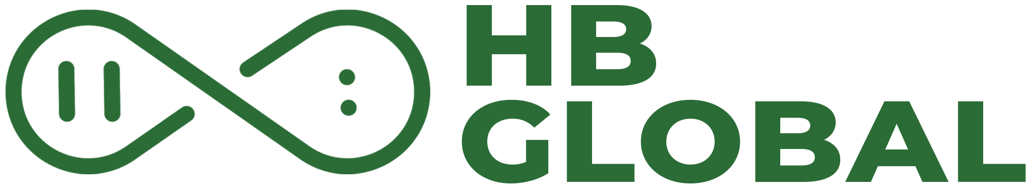 HB Global Networking